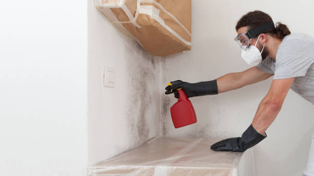 Professional Bathroom Mold Removal technician working in Dunkirk, NY